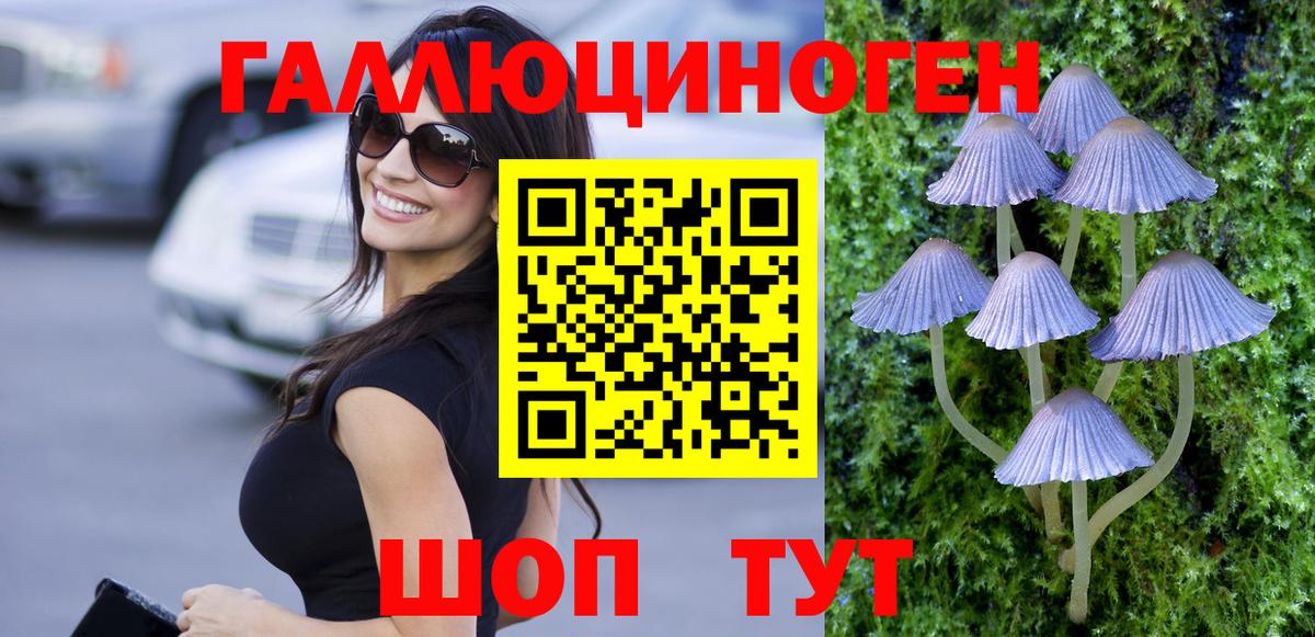 Псилоцибиновые грибы Psilocybe Кулебаки